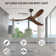 Batha 60'' Ceiling Fan