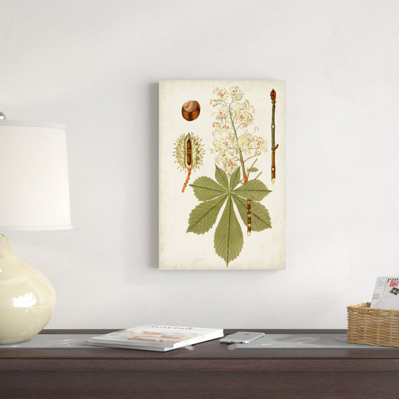 Feuilles antiques, H 18 po x l 12 po
