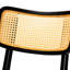 Ensemble de tabourets de comptoir 2 pièces Baxton Studio Tafari-1750094922