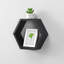 Barayon Hexagon Floating Shelf-1507939586