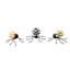 Fergal's Friend Spiders