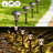 Solar Powered Integrated LED Pathway Light Pack-61688105