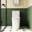 Toilette allongée en céramique, 1,1 / 1,6, blanche, confortable, siège à fermeture en douceur, et, T036wt allongé,