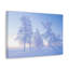 «Frosty Trees At Dawn Beautiful Winter», art mural sur toile-566552103