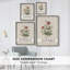 Impression florale vintage encadrée CLX III - bois massif-1382270628