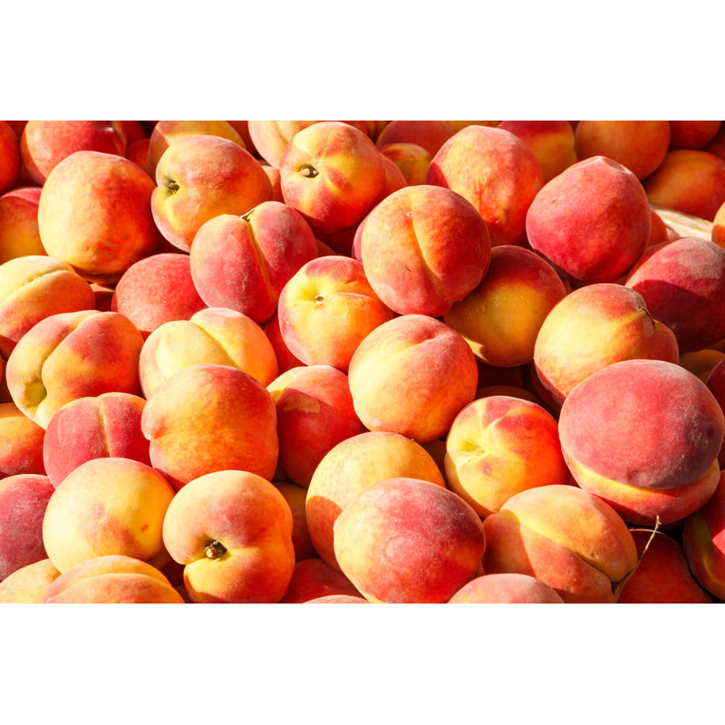 Fresh Peaches by LindasPhotography - Wrapped Canvas Print, 30cm H x 46cm W x 3.8cm D