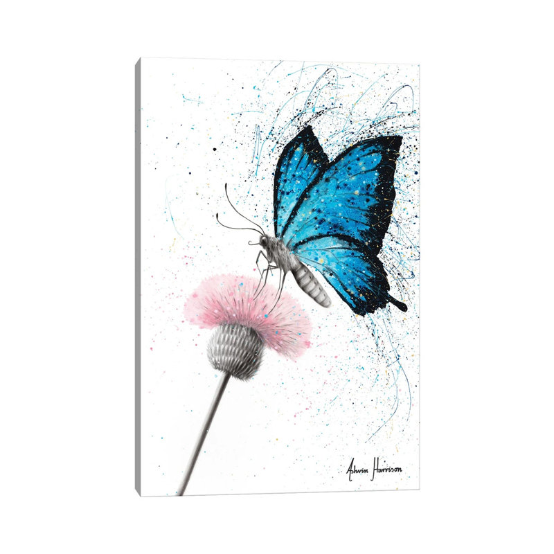 Sugar Butterfly by Ashvin Harrison - Wrapped Canvas Print, 30.48cm H x 20.32cm W