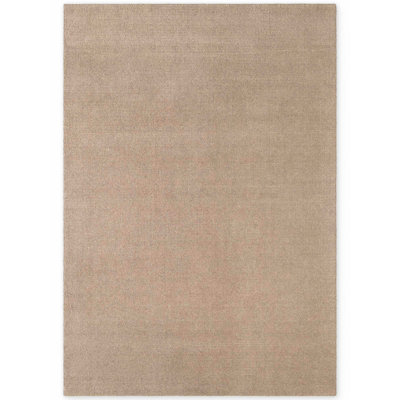 Demarlo Wool Hand Woven Area Rug