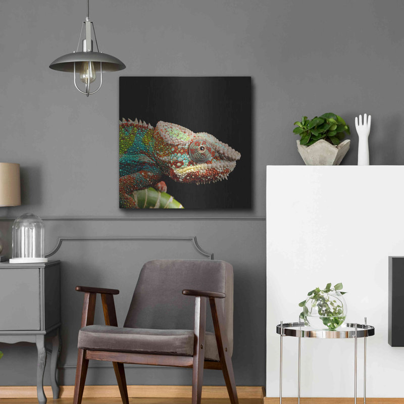 «Hide and Seek» par Luxe, H 24 po x l 24 po