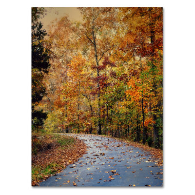 'Autumn Splash' Photographic Print on Wrapped Canvas