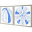 Indigo Shell II Set by Inspire Studio