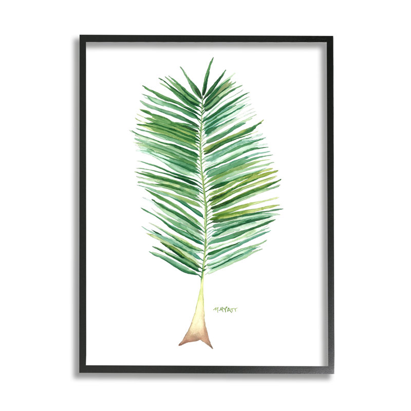 Verdure de cocotier sur fond blanc, Giclée encadrée noir minuit, H 30 po x l 24 po