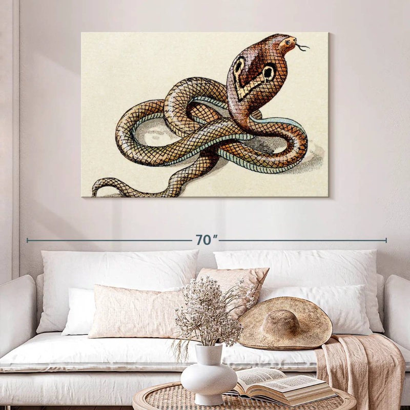 Brampt Indian Cobra, 32" H x 48" W