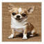  Tapis lavable Chihuahua Dogs-1542350152