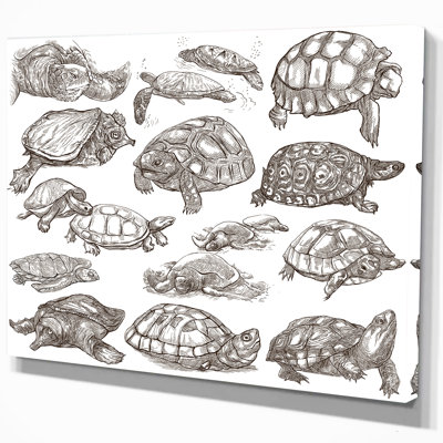 " Turtles "