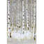 Birch Forest by Winter - Toile encadrée pour le décor du salon-726952766