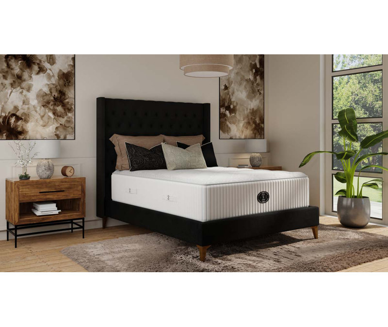 Timeless Mountain Air Cushion Firm Innerspring Mattress, Twin XL