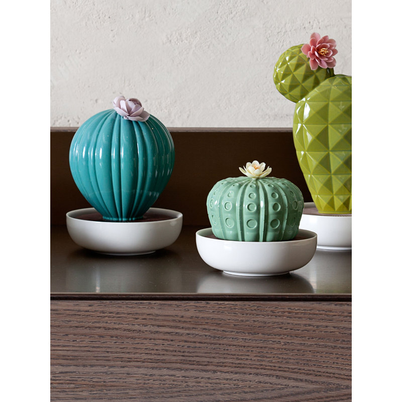 Ferocactus Cactus Gardens of Valencia Scent, Gardens of Valencia