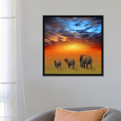 Photographie sur toile "the future is brillante"