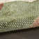Colondro 2' x 6' Beige Multi Modern Indoor Rug
