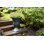 Urn Planter