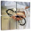 Alcaraz, médecin avec stéthoscope-109038771