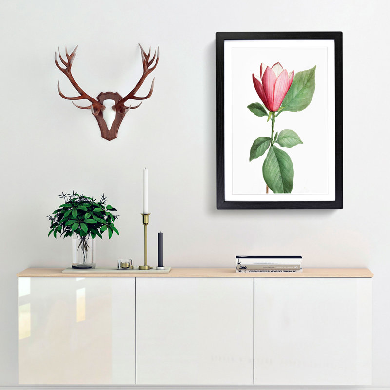 Japanese Pink Magnolia Flower by Pierre-Joseph Redoute - Picture Frame Graphic Art Print, 65cm H x 48cm W x 2cm D