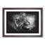 Tiger Vol.4 Paint Splash - Picture Frame Graphic Art-62806228-62806231