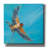 'Soaring' by Sue Schlabach Canvas Wall Art-1899749347