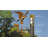 Krum 38'' H Metal Animals Weathervane