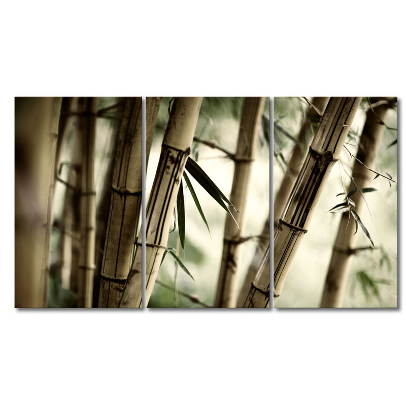 3 Piece Stretched On Wooden Frame Print on Canvas