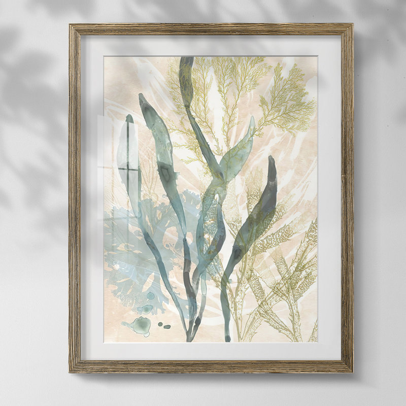 Blush Abstract IV, reproduction encadrée, Blanc, Papier avec cadre noyer