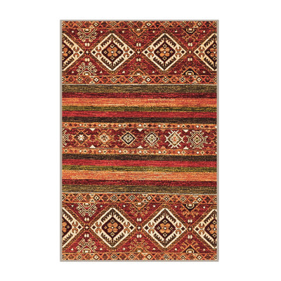 Coila Southwestern Indoor Rug