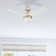 Frittelli 44'' Ceiling Fan with LED Lights and Remote Included