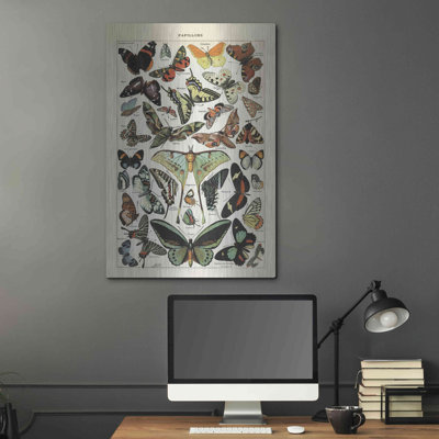 " Papillons 1 " by Susan Ball