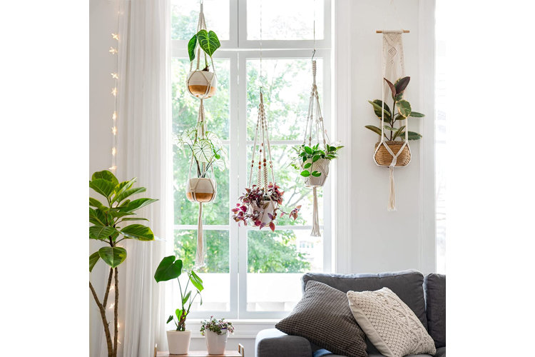 Living room window with five houseplants in macrame hanging planters.
