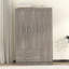 Armoire 3 portes avec 2 tiroirs