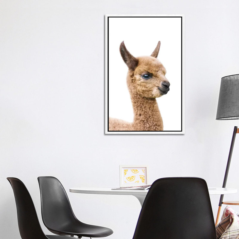 Baby Llama by Sisi & Seb - Gallery-Wrapped Canvas Giclée on Canvas, White Framed, 101.6 cm H x 66.04 cm W