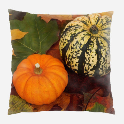  Autumn Indoor/Outdoor Throw Pillow