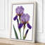 Twin Irises Botanical - Wrapped Canvas-1462500614-1462500615