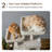 Degolier 69'' H Cat Tree-1665894743