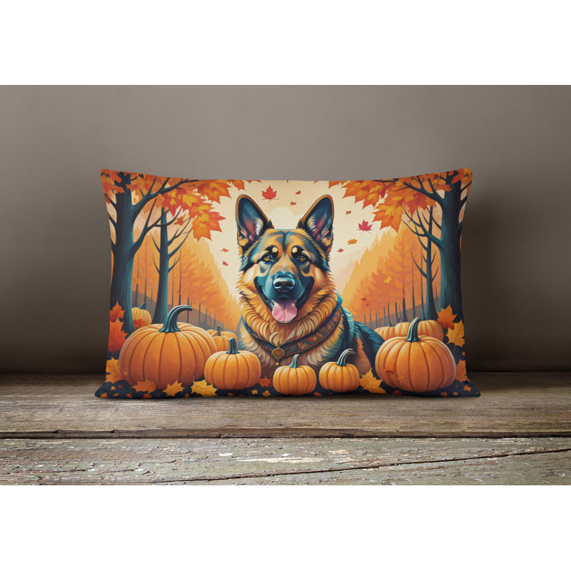 Other/No Pattern Outdoor Throw Pillow