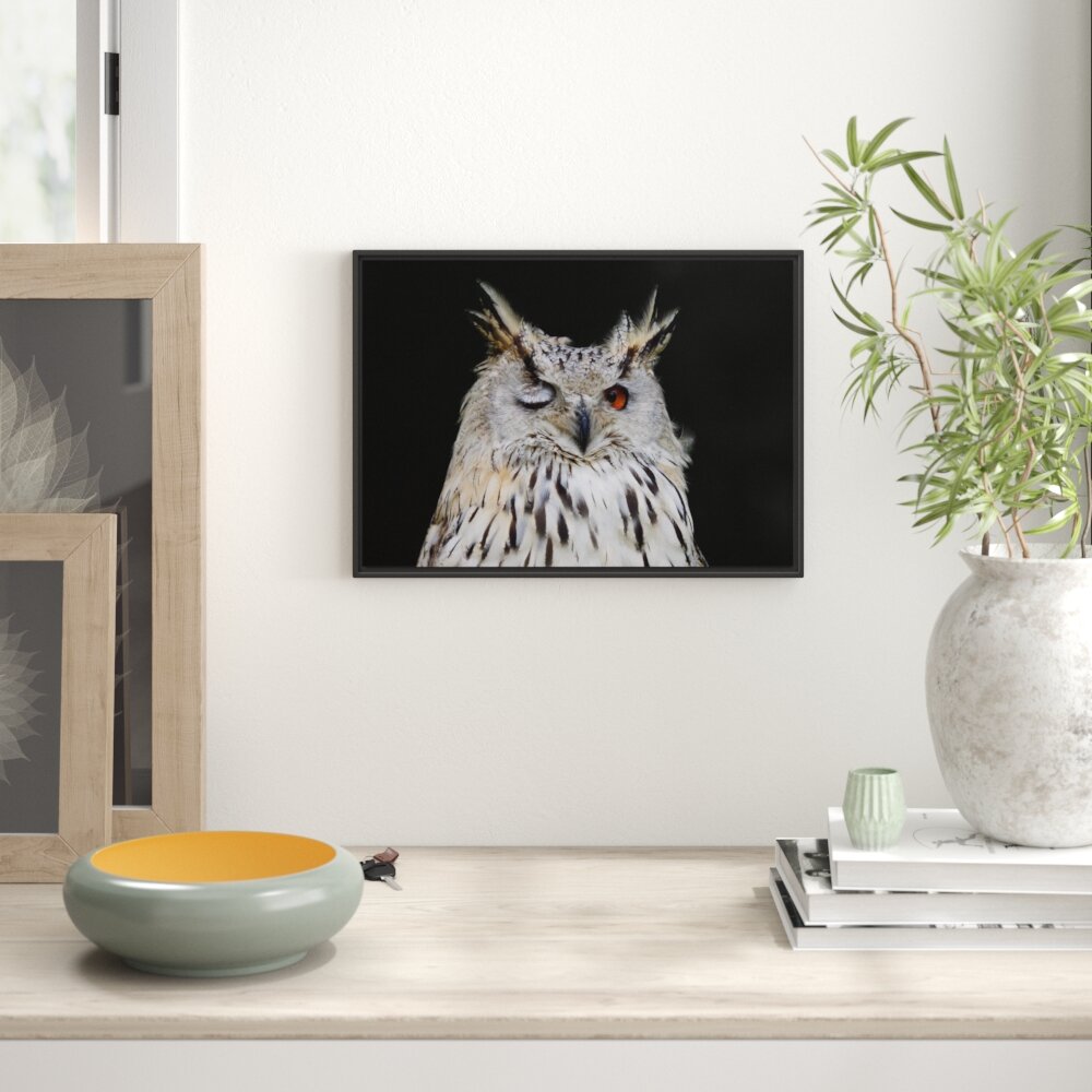 Gerahmter Grafikdruck Dark, Winking Long-Eared Owl