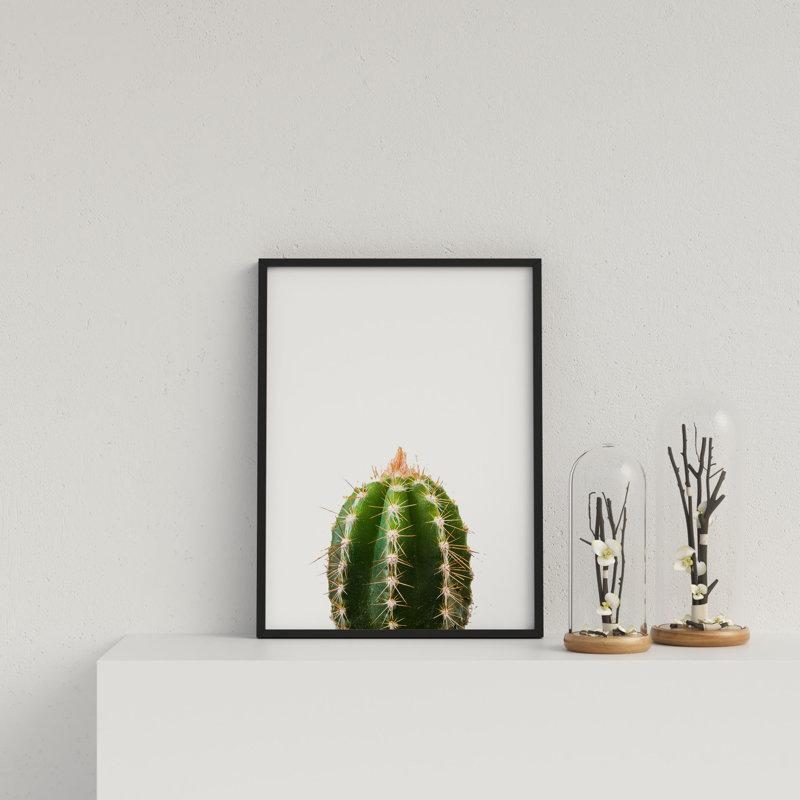 Cactus On White Background by Vouvart - Single Picture Frame Print