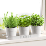 Indoor Herb Garden Planter Set with Tray