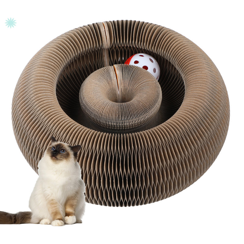 Magic Organ Cat Scratching Board