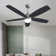 Ceiling Fan with LED Lights