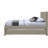 Upholstered Panel Bed-89228092