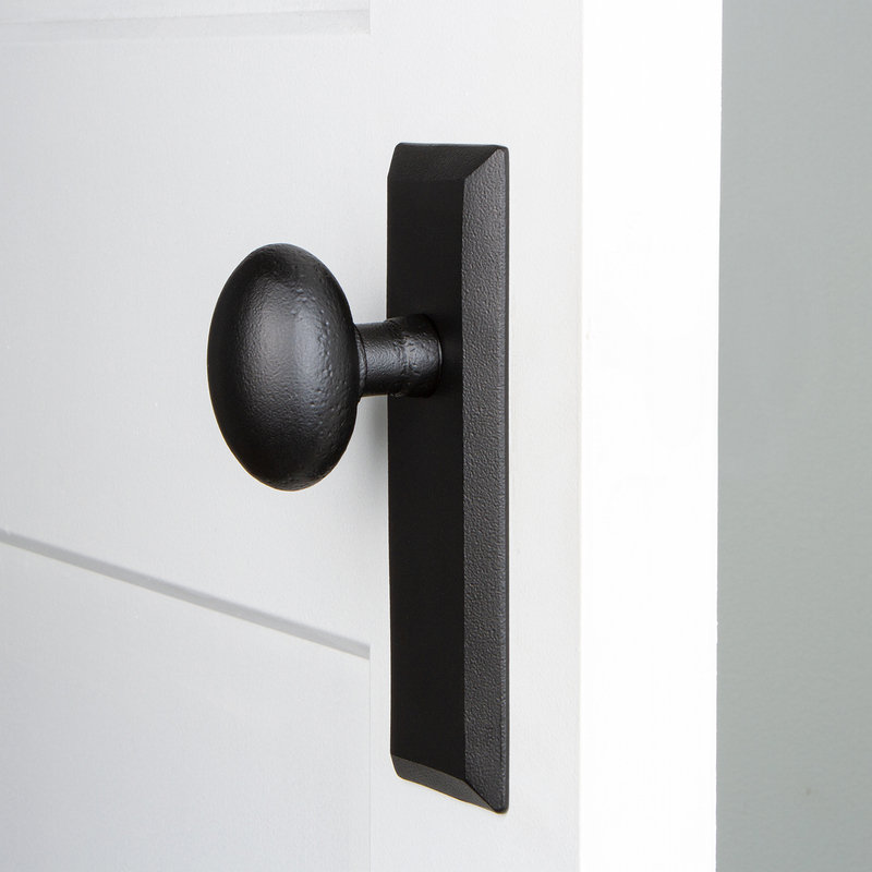 Plaque de maintien en fer avec bouton Aeg Ageless