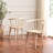 Paras Curved Back Dining Chair-1417383737